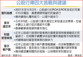 公股银4挑战 立院提4建议