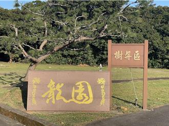 桃園龍潭樹葬區優化 將斥資460萬增設植存區