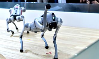 自動化展 人形機器人領風騷