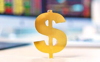 海外大豐收 撐起公股獲利半邊天