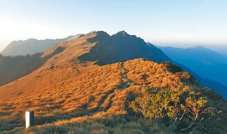奇萊稜線新建山屋 11月底完工