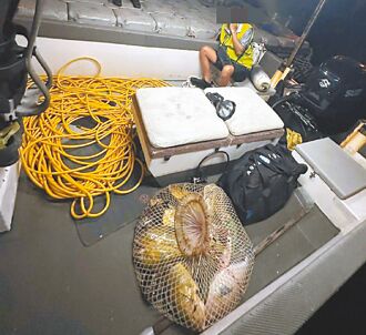 澎湖違法潛水捕撈 漁獲遭查扣