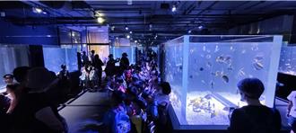 台中海洋館試營運首日爆滿 潮汐體驗區成孩童最愛