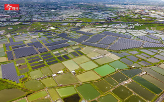 漁電共生為何變雙殺？養殖戶憤慨「我們的努力一再被政府踐踏」