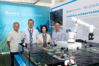 有84％白化危機！台達電盼未來5年「保存300種珊瑚」