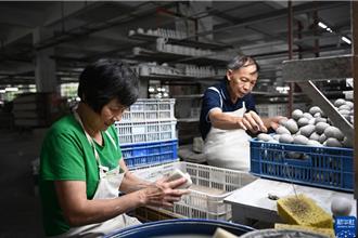 「中國白·德化瓷」藝術創收  銷往190多個國家和地區