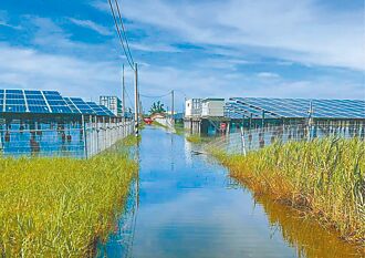 拒核電忙種電 禍國殃民