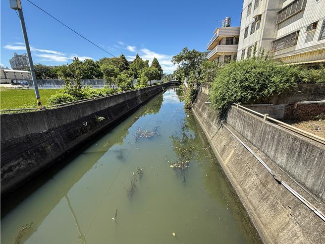 竹南镇射流沟受生活污水与农业废水影响，水质中度污染，县府监测显示RPI介于5至5.75，水质长期堪忧。（吕丽甄摄）