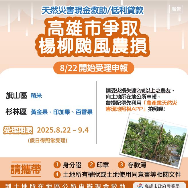 高雄地區近來接連受到丹娜絲颱風、728豪雨與楊柳颱風影響，農產業及農田災損合計已超過2.2億元，市政府農業局今（21）日表示，經市府積極爭取，旗山區二期稻米及杉林區黃金果、印加果與百香果等作物，均已納入農業部公告的天然災害救助項目，將自8月22日起受理農民申報至9月4日止。（高雄市農業局提供／林雅惠高雄傳真）