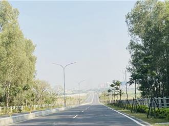 台南「仁德伯朗大道」突現電桿毀景觀 民代、網友怒：還我美麗