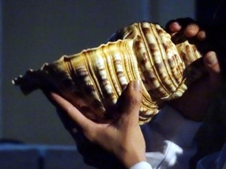 太神奇！吹這「生物」竟能改善呼吸中止症