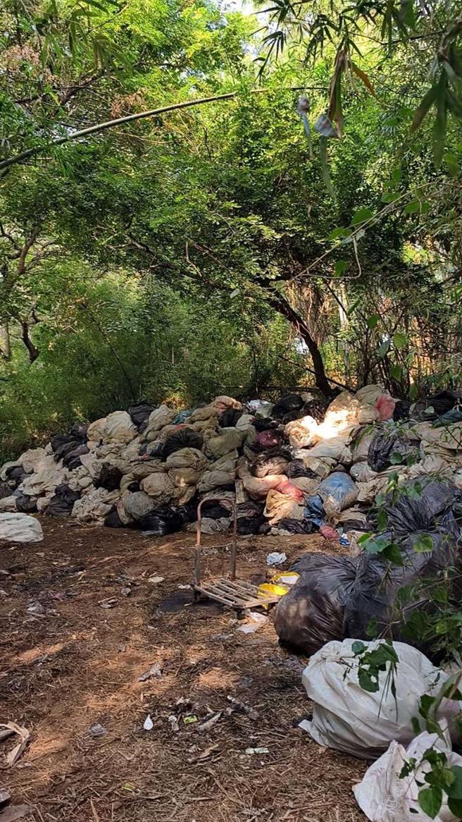 桃園市新屋區觀海路一段788巷附近矮房、空地，有約67.8立方公尺的家庭廢棄物棄置、資源回收物，現場臭氣熏天，大量蒼蠅、蚊蟲孳生。(陳睿生提供)