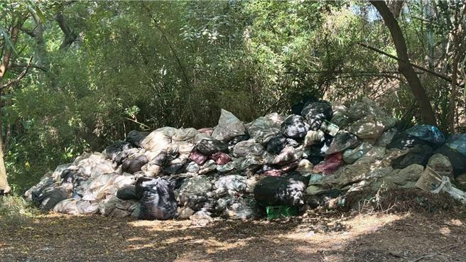 桃園市新屋區觀海路一段788巷附近矮房、空地，有約67.8立方公尺的家庭廢棄物棄置、資源回收物，現場臭氣熏天，大量蒼蠅、蚊蟲孳生。(陳睿生提供)