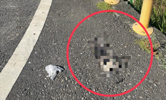 独家》高雄16枪命案 凶嫌烧车留2把枪 警靠这一物逮涉案人