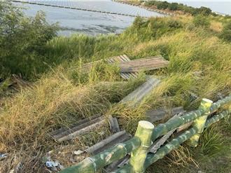 苗栗后龙水尾滞洪池遭乱丢垃圾 竟是20多片有毒石棉瓦