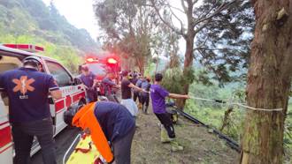 新中横驾车衝破护栏「坠百米深谷」  1家4口卡大树逃死