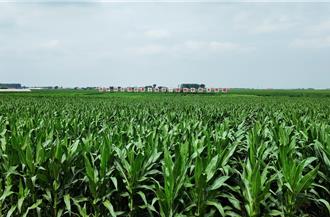 陸加速提升高產密植糧食生產技術集成創新高地