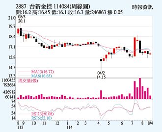 台新新光金 合併首秀亮眼
