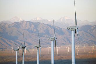 跟川普唱反調 恐賠上台美關係