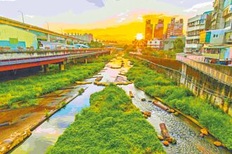 還河於自然 大窠坑溪新步道 放風好去處