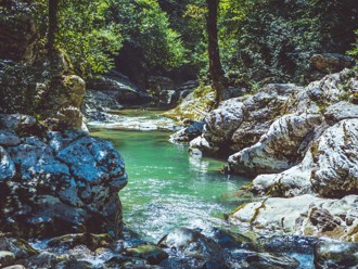 「食腦蟲」再現病例 專家呼籲正確認識、不必恐慌