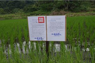 花蓮21歲男2年無照遭罰22次拒繳    2土地遭查封秒繳清罰款