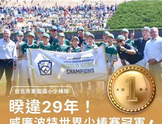 東園少棒打敗美國隊奪冠   AIT：充分見證美台對棒球的共同熱愛