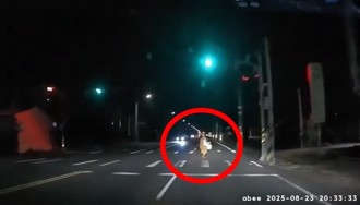 鬼月開車遇「阿彌陀佛」過馬路 網友笑稱：抄捷徑升天？