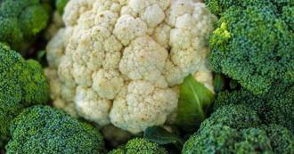 女友確診「菜花」稱公廁感染 陷信任危機他嘆：該放生？