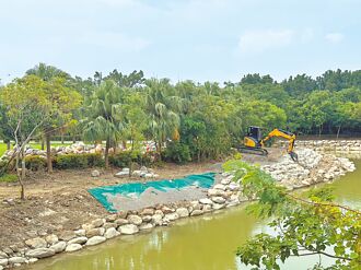 高美館水岸工程 挨批罔顧生態