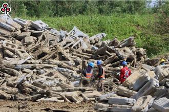 小鸟喝光电板红水秒暴毙？环境部澄清：假影片