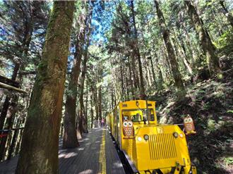 太平山蹦蹦车即将回归！灾后重建有成 拚10月復驶