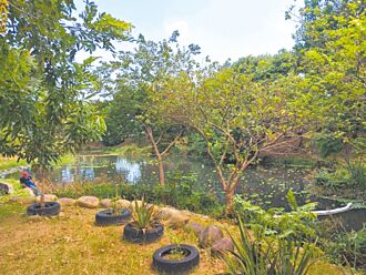 南崁人工溼地 市府擬智慧監測