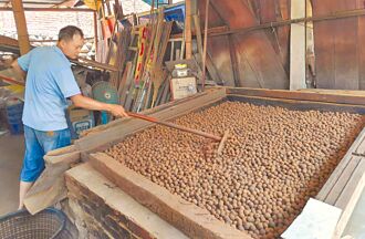 传承3代 龙眼古法烘焙更飘香