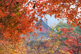 美麗中華神州遊 走進紅葉秘境 邂逅金秋「楓」光
