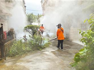今年首例本土登革熱病例現蹤 新北衛生局教4步驟防疫