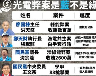 吳崢爆「泓德能源」與藍這關係　批國民黨抺黑