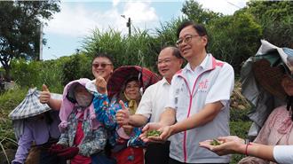 桃園智慧農業有落差？審計處點名4大系統「停在行銷層面」