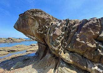 基隆山海一日游 赏地质美景、吃永续海鲜 一次收集观光亮点！