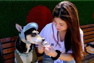 棒球熱當道  入住飯店送球衣造型提袋