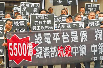 綠推中心涉弊 藍委：冰山一角