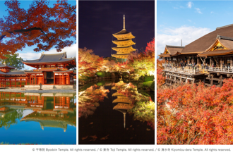 京都秋季限定奢華體驗！世界遺產私人導覽40萬日圓「一日一組」