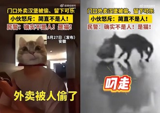 报警外卖遭窃剩可乐 监视器拍下竟「不是人」