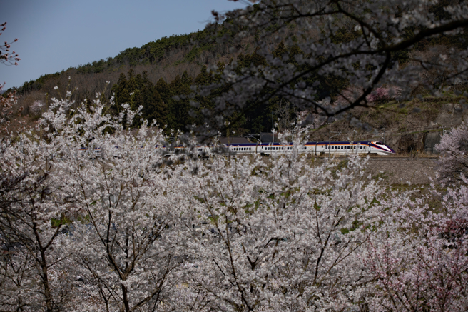 日本山形縣。（示意圖：shutterstock/達志）