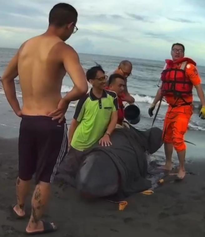宜兰县岭脚沙滩昨（27）日下午传出鲸豚搁浅事件，经岸巡人员及民眾合力协助。（民眾提供／吴佩蓉宜兰传真）
