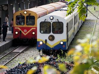 10月連假玩阿里山！入住阿里山賓館享專車接駁 探訪鐵道秘境