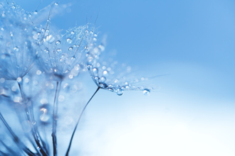 白露節氣換「乙酉」運！4生肖9月防小人是非