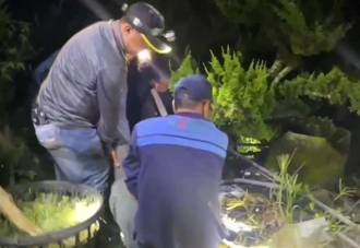 就在公墓旁！阿北鬼月採過貓神秘失蹤 獲救卻全程「不語」