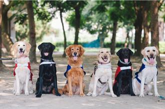 板橋435藝文特區《用手去看見世界》 用五感體驗無障礙藝術