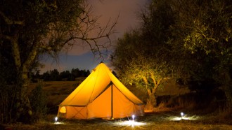 「對到眼就硬上」性侵少女太囂張 營主秀牽手影片：相信兒子